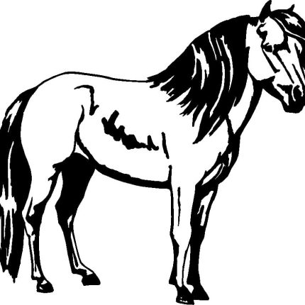 Horses Horse Animal Vinyl Car or WALL Decal Stickers 14