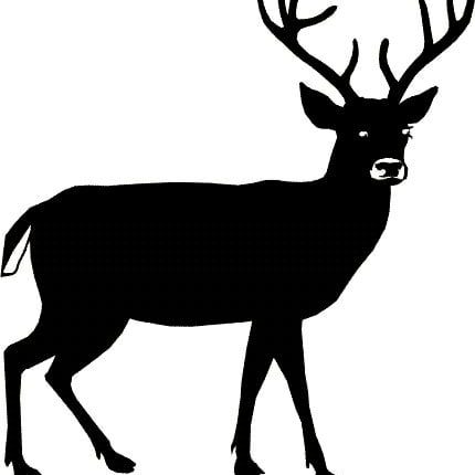 Stag Stickers - 5