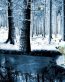 Fairies and Fantasy Wall Graphics 201