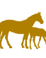Horses vinyl car decal