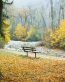 Fall Colors Adhesive Wall Graphics 35