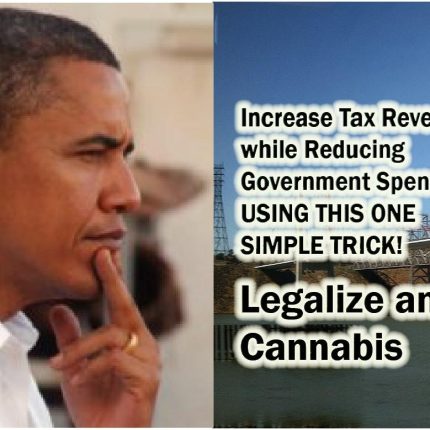 Obama Legalize Weed Sticker