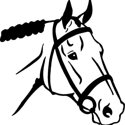 Horses Animal Vinyl Car or WALL Decal Stickers 01
