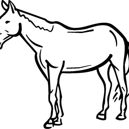 Horses Animal Vinyl Car or WALL Decal Stickers 02