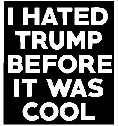 I HATED TRUMP BEFORE IT WAS COOL