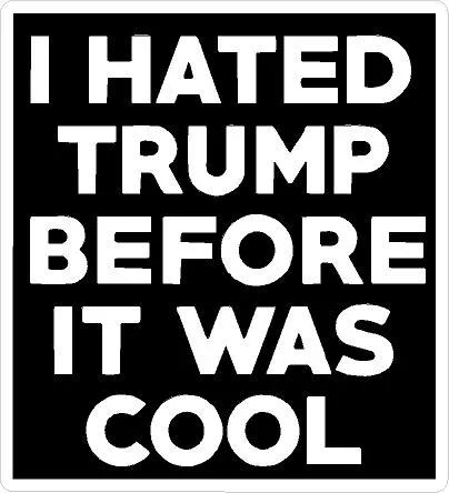 I HATED TRUMP BEFORE IT WAS COOL