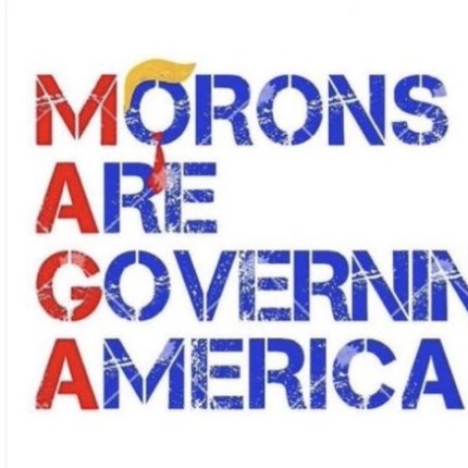 MAGA MORONS ARE GOVERNING AMERICA STICKER
