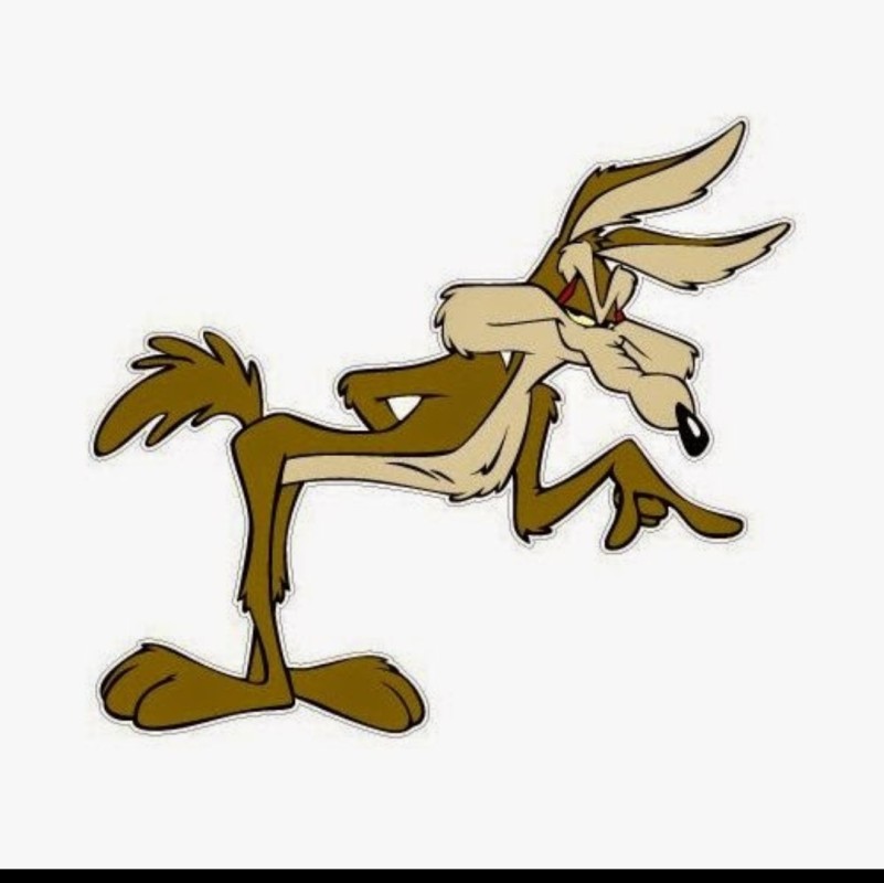 WILE E SNEEKY CARTOON STICKER