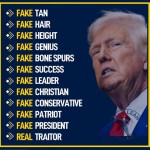tRump FAKE FAKE FAKE TRAITOR STICKER