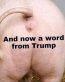 tRump Now a word from PIG RUMP sticker