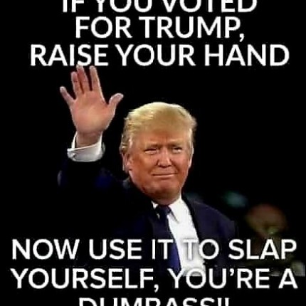 tRump SLAP YOURSELF DUMBASS sticker