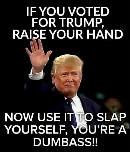 tRump SLAP YOURSELF DUMBASS sticker