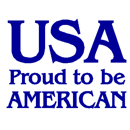 USA american decal