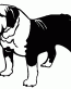 038 Bulldog Decal