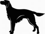 Irish Setter Dog Decal