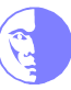 Moon vinyl graphic 600 Adhesive Vinyl Decal Sticker