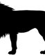 African Animal Decal 19