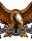 american eagle POW sticker 66
