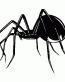 Blackwidow decal