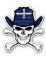 AUSTRALIA EURIKA FLAG SKULL STICKER