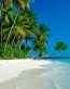 Beaches and Coastal Vinyl Wall Graphics 053