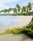Beaches and Coastal Vinyl Wall Graphics 178