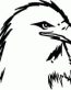 Bird Decals 11
