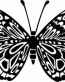 Butterfly Decal 4