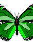 butterfly sticker  GREEN color