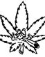 cannabis funny weed decal