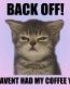 Cat Meme 101 Sticker