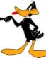 Daffy 08