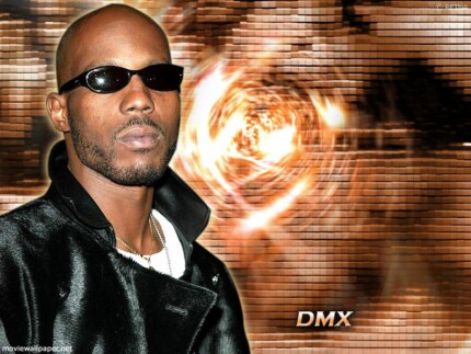 DMX Wallpaper Sticker