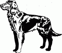 Dog Breed Decal 56