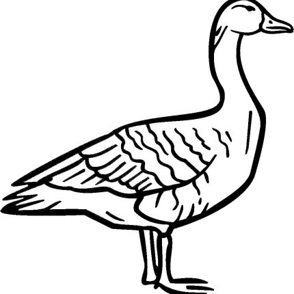 Duck Vinyl Car or WALL Decal Stickers