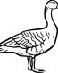 Duck Vinyl Car or WALL Decal Stickers