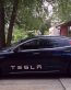 elon musk tesla model s business vehicle sticker
