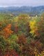 Fall Colors Adhesive Wall Graphics 69