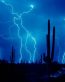 Forces of Nature Adhesive Wall Art 40