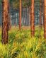 Forest and Trees Vinyl Wall Decals 078