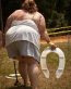 horseshoes with a toilet seat redneck sticker