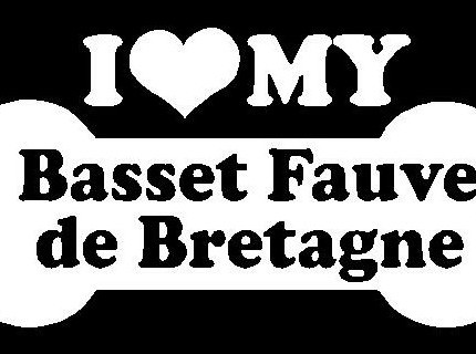 I Love My Basset Fauve de Bretagne