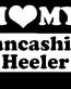 I Love My Lancashire Heeler