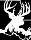 Louisiana hunting white tail buck deer decal