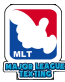 MLT MAJOR LEAGUE TEXTING FUNNY CAR STICKER