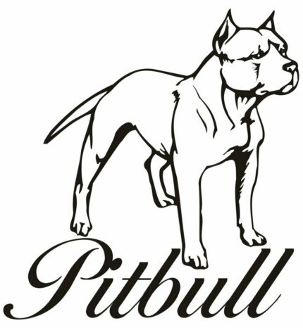 Pitbull Vinyl Car Decal 11 - Pro Sport Stickers