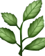 PLANT Emoji_Herb