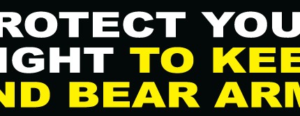 Protect Your Right To Keep And Bear Arms Bumper Sticker