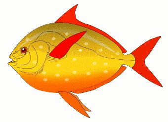 red finned fish color fish decal