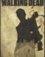The Walking Dead Darryl Silhouette Decal